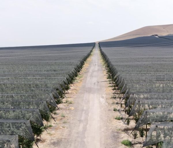 WhatsApp Image 2025-08-05 at 16.43.35 (1)